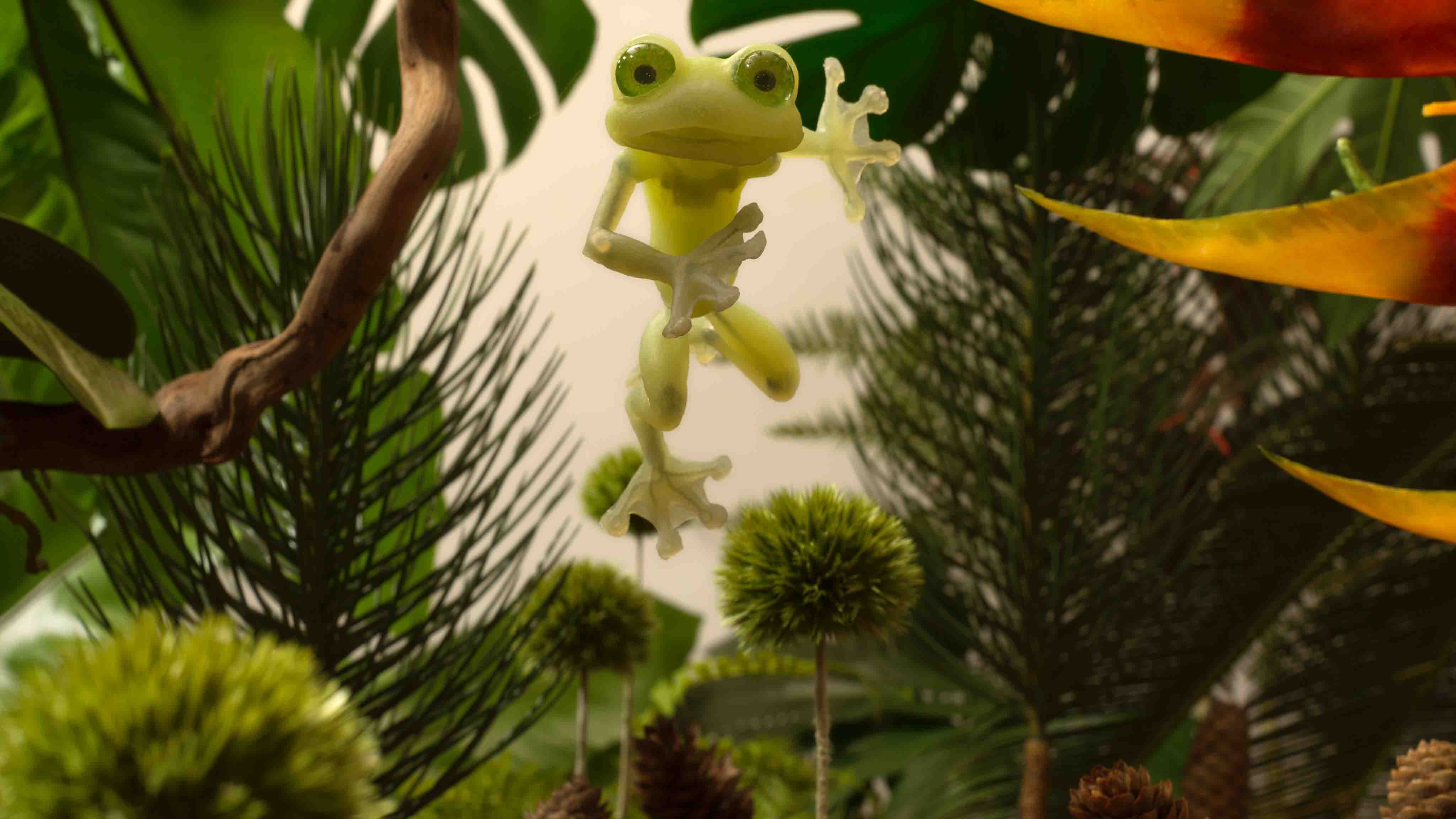 춤추는 개구리 / Dancing Frog