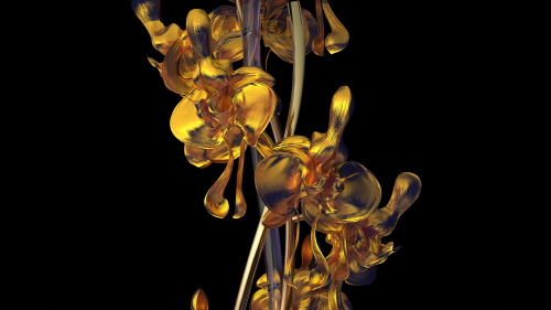 꽃 / Flora