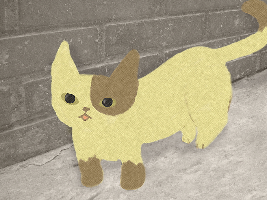 모자와 고양이 / Cap & Cat 