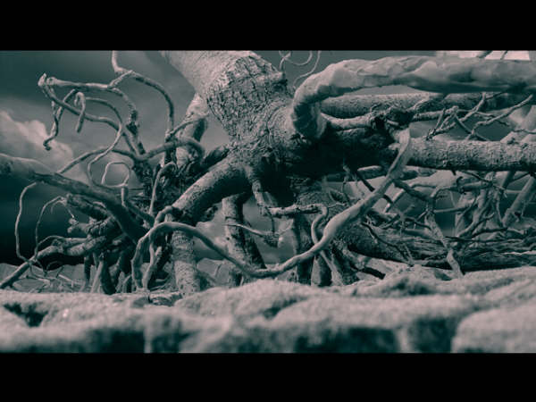 소이연(所以然) / Soeyoun 