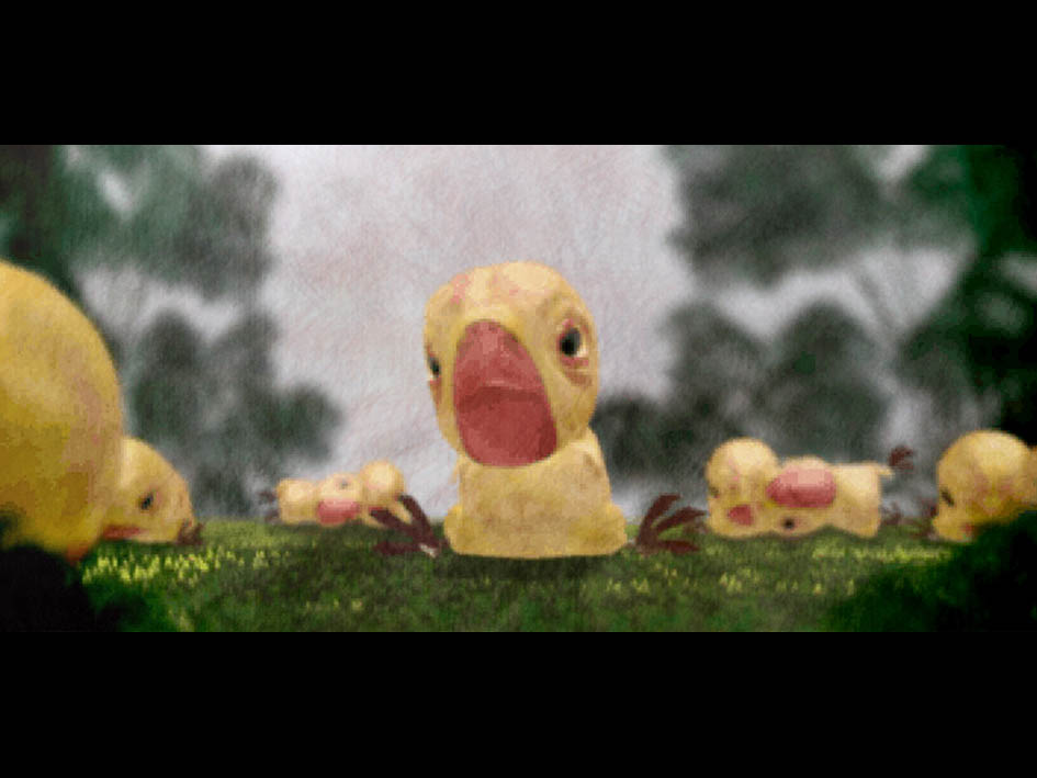수박병아리 / The Watermelon Chickens 