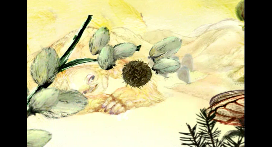 계절도둑 / Season Thief 