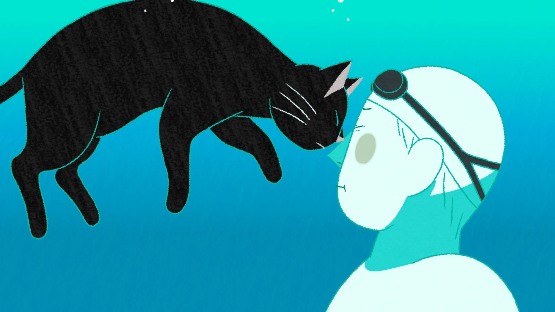수영장의 고양이들 / Cats in the Pool