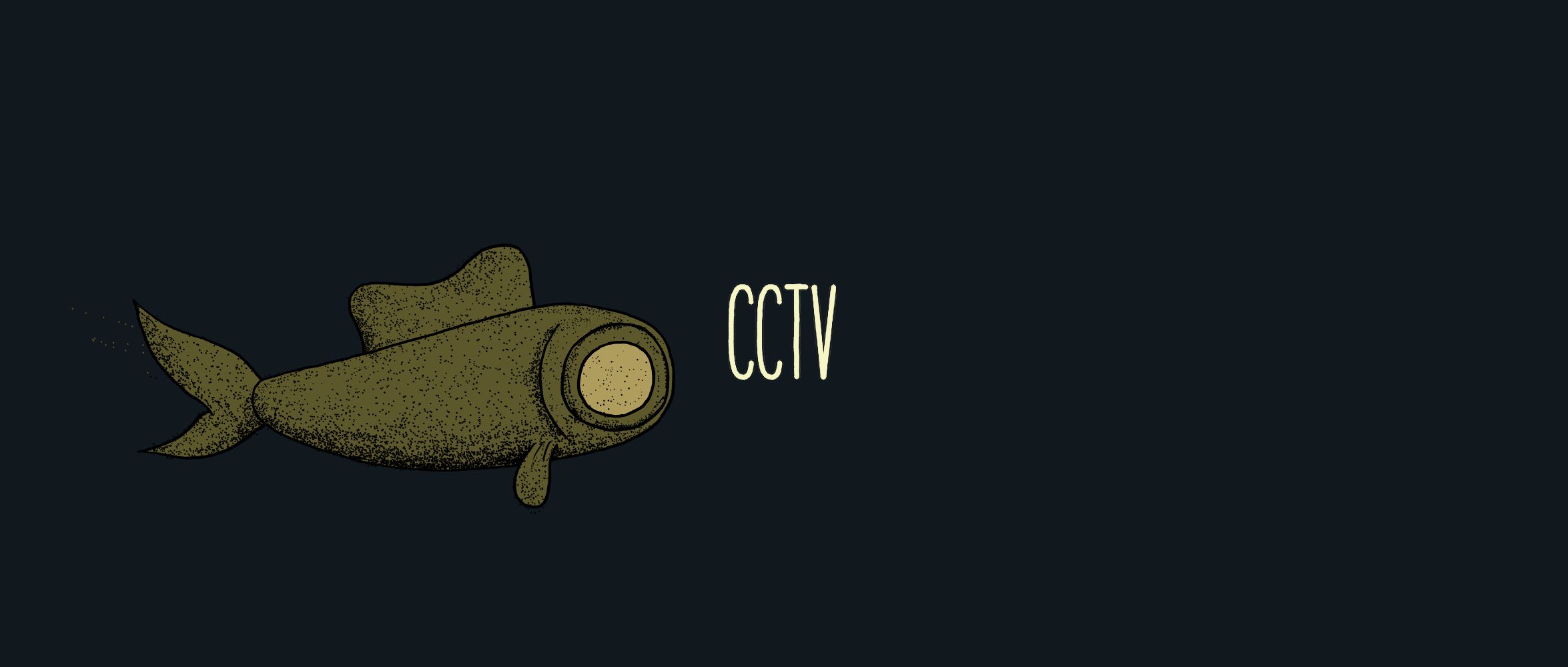 CCTV / CCTV
