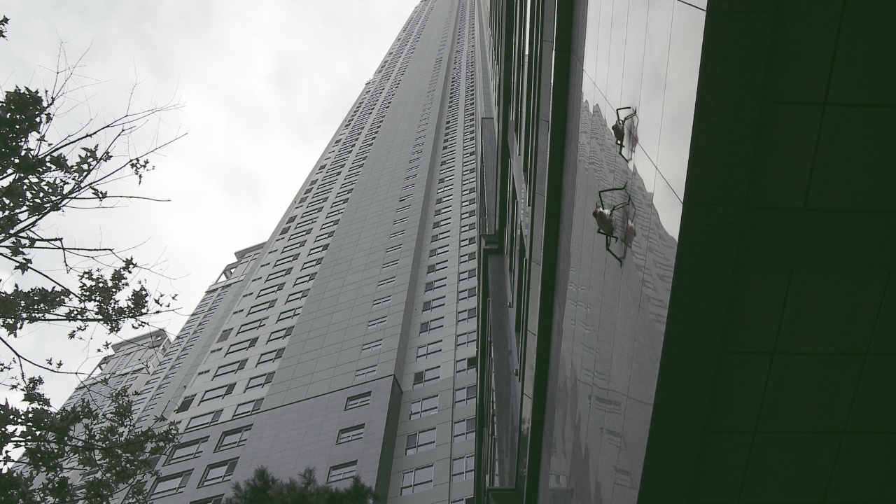 암컷은 157m위에 있다 / The female species is sitting 157meter above
