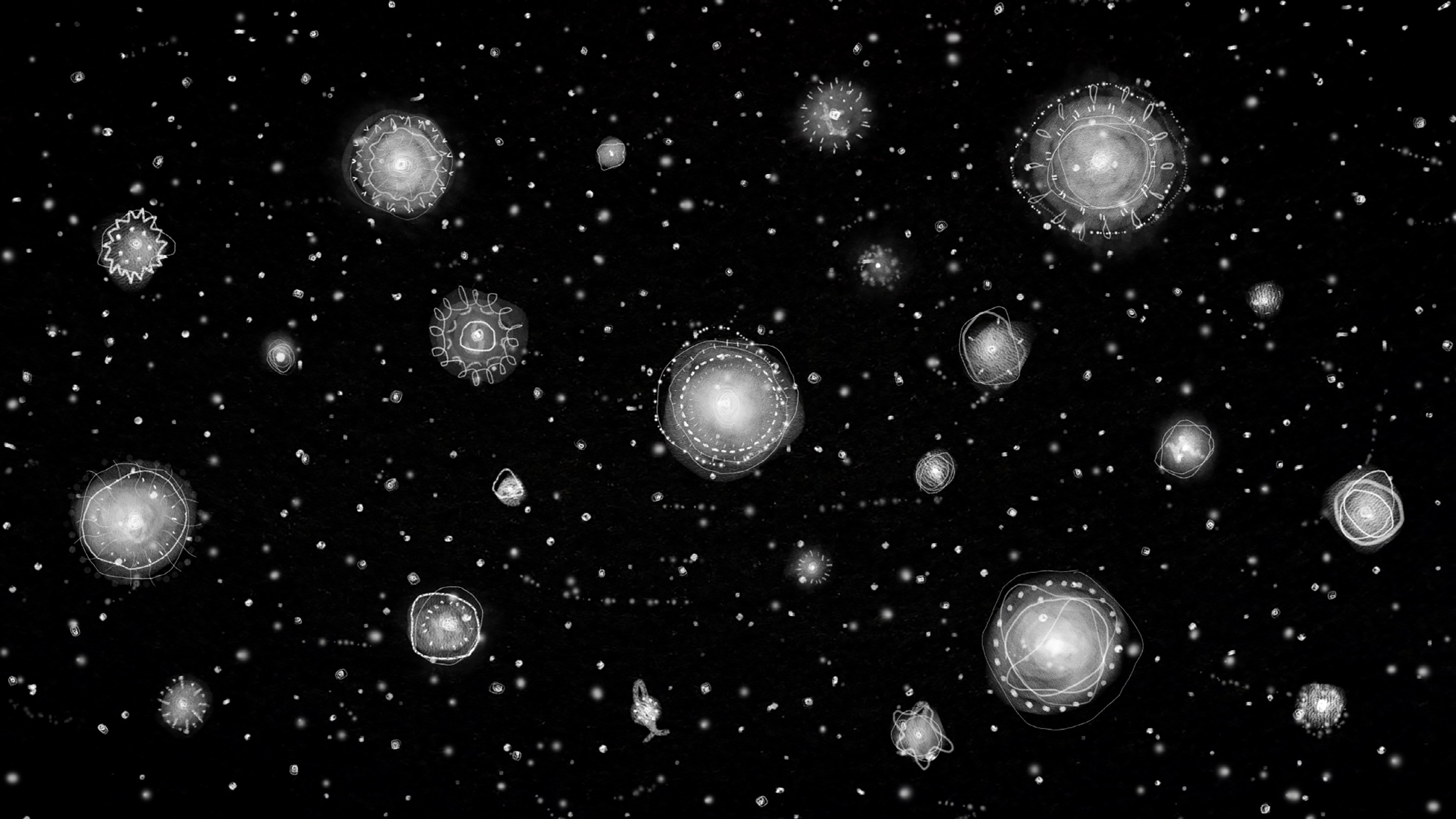 Constellations / Constellations